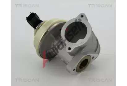 TRISCAN AGR ventil TRI 8813 16102, 8813 16102