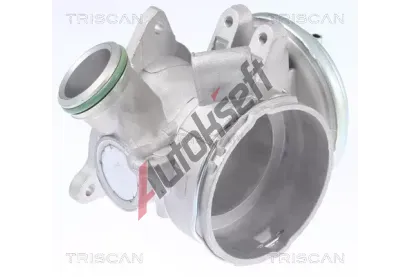 TRISCAN AGR ventil TRI 8813 23032, 8813 23032