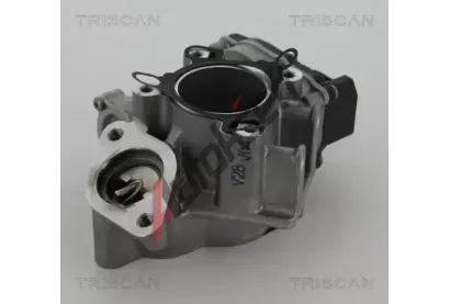 TRISCAN AGR ventil TRI 8813 24039, 8813 24039