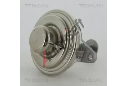 TRISCAN AGR ventil TRI 8813 24054, 8813 24054