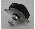 TRISCAN AGR ventil ‐ TRI 8813 24202