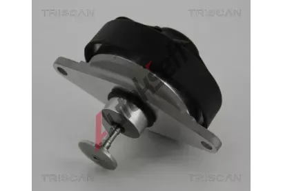 TRISCAN AGR ventil TRI 8813 24202, 8813 24202