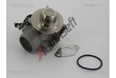 TRISCAN AGR ventil TRI 8813 29001, 8813 29001