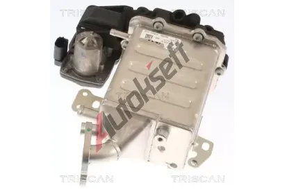 TRISCAN AGR ventil TRI 8813 29005, 8813 29005