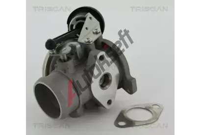 TRISCAN AGR ventil TRI 8813 29022, 8813 29022