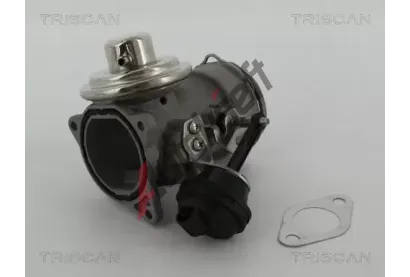 TRISCAN AGR ventil TRI 8813 29036, 8813 29036