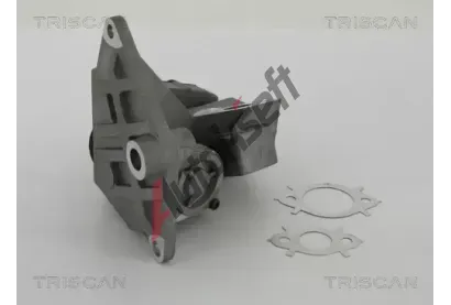 TRISCAN AGR ventil TRI 8813 29047, 8813 29047