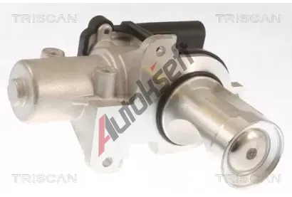 TRISCAN AGR ventil TRI 8813 29101, 8813 29101