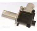 TRISCAN AGR ventil TRI 8813 29101, 8813 29101
