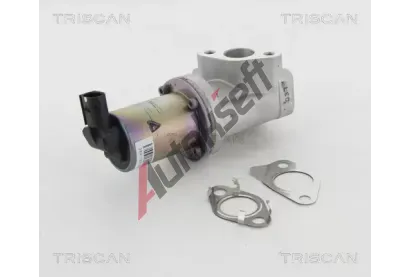 TRISCAN AGR ventil TRI 8813 43021, 8813 43021