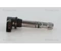 TRISCAN Zapalovac cvka TRI 8860 29024, 8860 29024