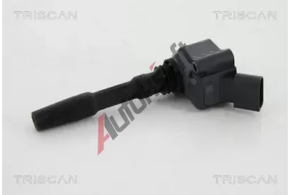 TRISCAN Zapalovac cvka TRI 8860 29048, 8860 29048