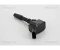 TRISCAN Zapalovac cvka TRI 8860 29048, 8860 29048