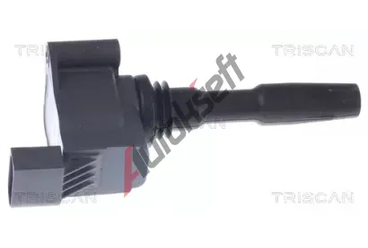 TRISCAN Zapalovac cvka TRI 8860 29065, 8860 29065