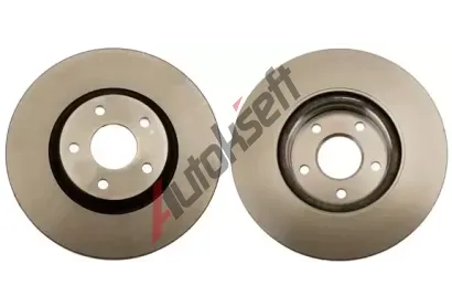 TRW Brzdov kotou - 300 mm TRW DF4424, DF4424