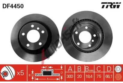 TRW Brzdov kotou - 300 mm TRW DF4450, DF4450