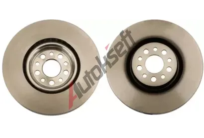 TRW Brzdov kotou - 310 mm TRW DF4904S, DF4904S