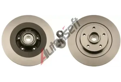TRW Brzdov kotou s loiskem - 300 mm TRW DF6044BS, DF6044BS