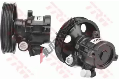 TRW Hydraulick erpadlo - zen TRW JPR287, JPR287