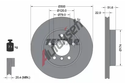 TEXTAR Brzdov kotou PRO - 300 mm TXT 92097205, 92097205