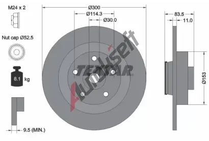 TEXTAR Brzdov kotou PRO - 300 mm TXT 92233103, 92233103