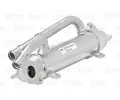 VALEO Chladi recirkulace spalin VA 817754, 817754