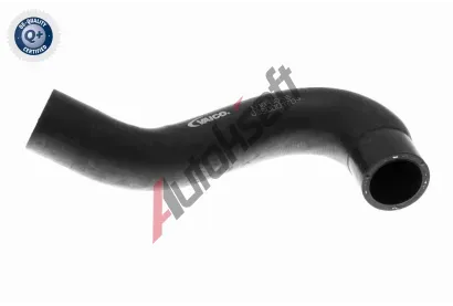 VAICO Hadice chladie VAC V10-0055, V10-0055