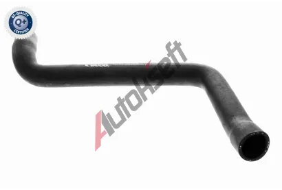 VAICO Hadice chladie VAC V10-0073, V10-0073