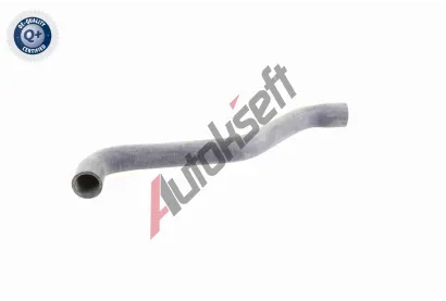 VAICO Hadice chladie VAC V10-0074, V10-0074