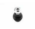 VAICO ep ramene Green Mobility Parts ‐ VAC V10-0781