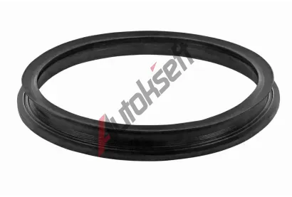 VAICO Tsnn snmae paliva Q+, original equipment manufacturer quality VAC V10-2553, V10-2553