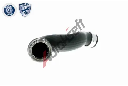 VAICO Hadice plnicho vzduchu VAC V10-2697, V10-2697