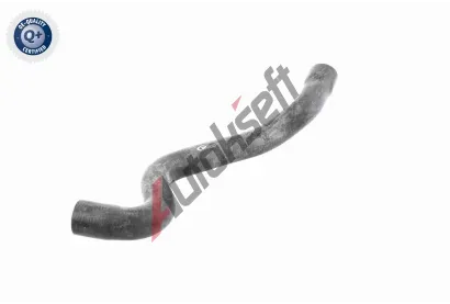 VAICO Hadice chladie VAC V10-2730, V10-2730
