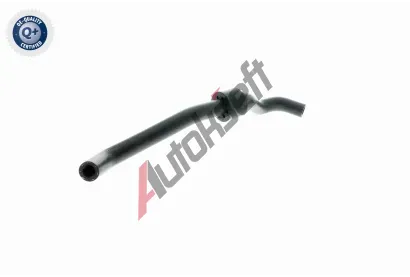 VAICO Hadice chladie VAC V10-2737, V10-2737