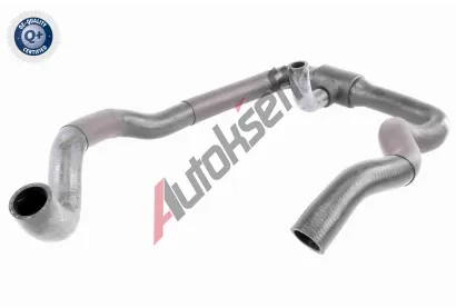 VAICO Hadice chladie VAC V10-2802, V10-2802
