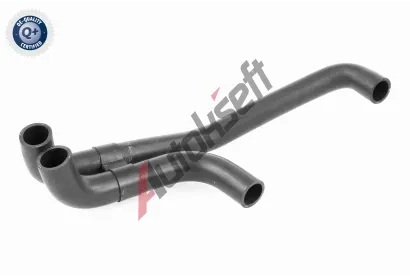 VAICO Hadice chladie VAC V10-2808, V10-2808