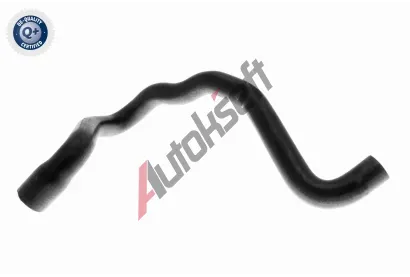 VAICO Hadice chladie VAC V10-2810, V10-2810