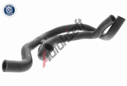 VAICO Hadice chladie VAC V10-2821, V10-2821