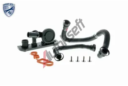 VAICO Reparatursatz, Kurbelgehuseentlftung VAC V10-3246, V10-3246