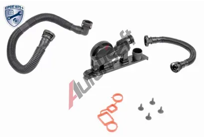 VAICO Reparatursatz, Kurbelgehuseentlftung VAC V10-3247, V10-3247