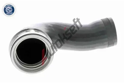 VAICO Hadice plnicho vzduchu VAC V10-3768, V10-3768