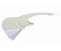 VAICO Ochrann plech proti neistotm brzdovho kotoue ‐ VAC V10-3901