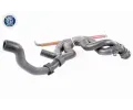 VAICO Hadice chladie ‐ VAC V10-3910