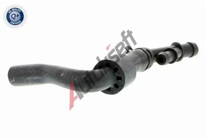 VAICO Hadice chladie VAC V10-3912, V10-3912