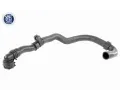 VAICO Hadice chladie ‐ VAC V10-4272