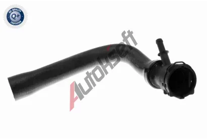 VAICO Hadice chladie VAC V10-4284, V10-4284