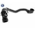 VAICO Hadice chladie ‐ VAC V10-4298