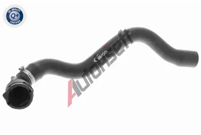 VAICO Hadice chladie VAC V10-4665, V10-4665