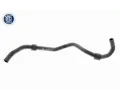 VAICO Hadice chladie ‐ VAC V10-4685
