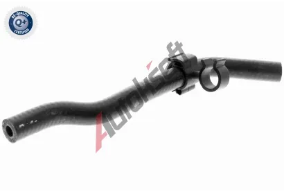 VAICO Hadice chladie Q+, original equipment manufacturer quality VAC V10-4764, V10-4764